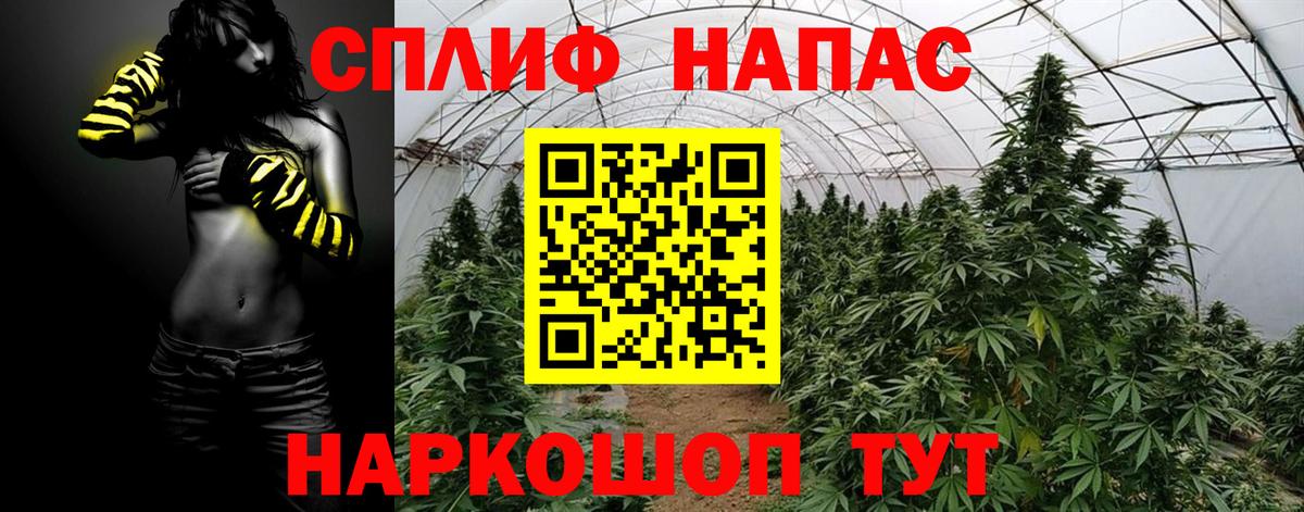 Марихуана сатива  Каннабис индика  Жигулёвск  Вход с VPN  Бошки Шишки конопля 
